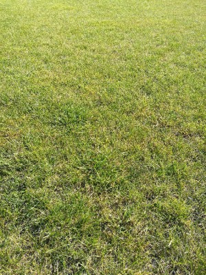 IMG_20180710_181510.jpg
