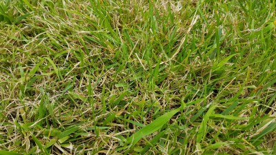 20180711_141148.jpg