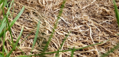 20180712_124839.jpg