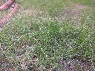 IMG_20180714_180725.jpg