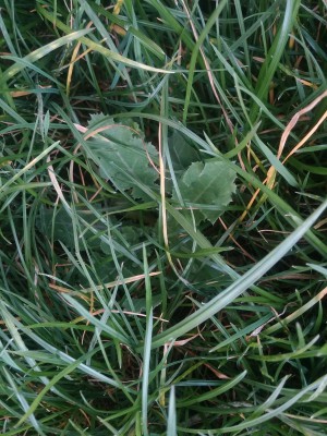 20160224_161105.jpg