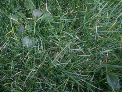 20160224_161258.jpg
