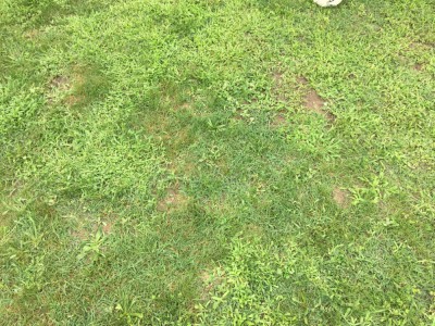 IMG_1532.JPG