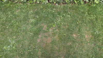 IMG_20180722_131445.jpg