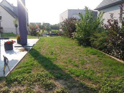 20180723_084044.jpg
