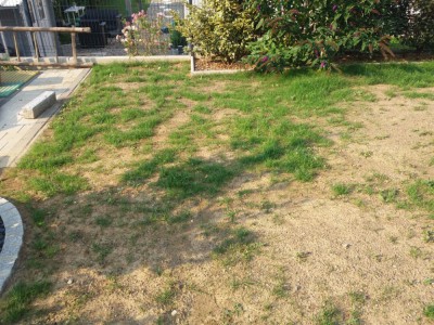20180723_084145.jpg