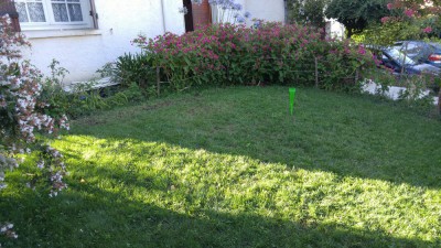 IMG_20180729_193730.jpg