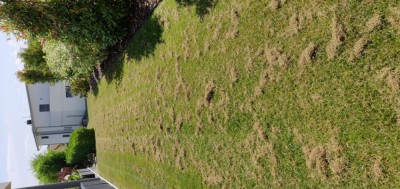 IMG_20180707_114033.jpg