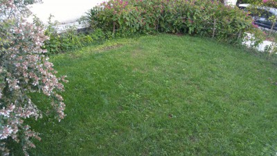 IMG_20180805_204056.jpg
