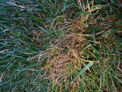 20180808_101121.jpg