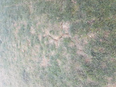 20180811_160807.jpg