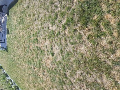 20180811_160403.jpg