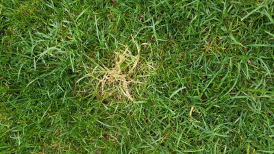 20180813_094125.jpg