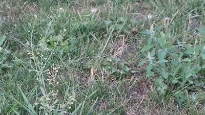 20180815_194600001.jpg