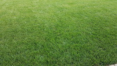 20180817_181532.jpg