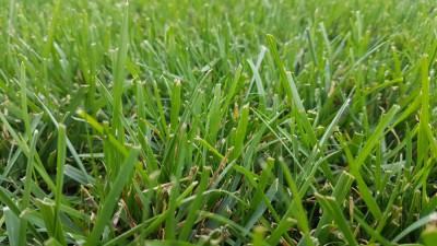 20180817_181549.jpg