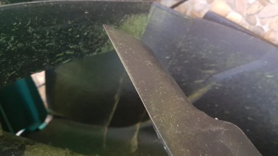 20180819_201342.jpg