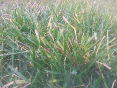 20160229_175753.jpg