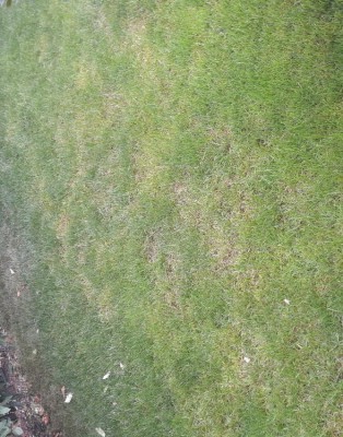 20180821_193024.jpg