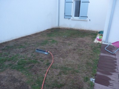 P1080782.JPG