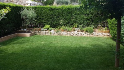 20180817_122228.jpg