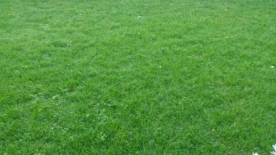 20160302_182227.jpg