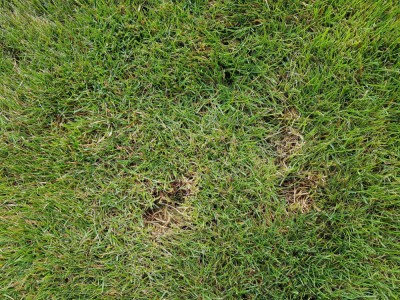 20180818_101657.jpg