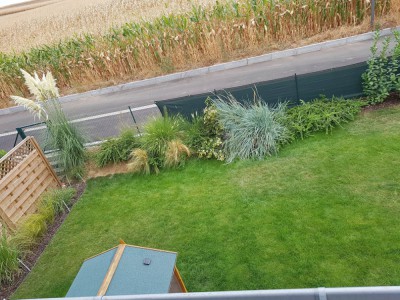 20180825_122627.jpg