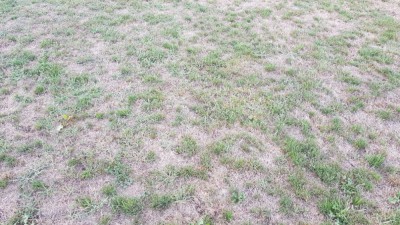 20180827_192125.jpg