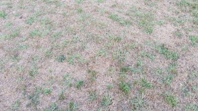 20180827_192112.jpg
