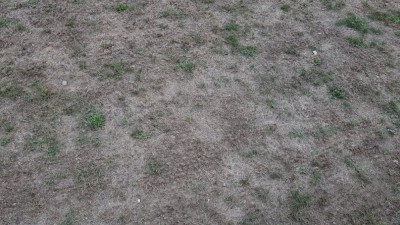 20180901_144827.jpg