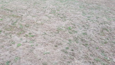 20180901_144841.jpg