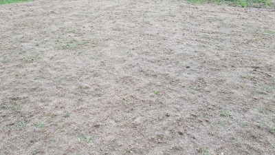 20180901_144856.jpg