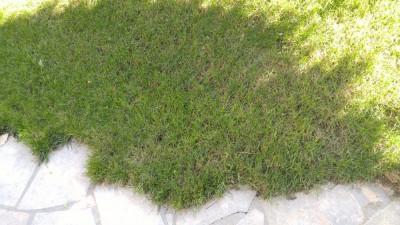 IMG_20180902_171115.jpg