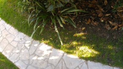 IMG_20180902_171032.jpg
