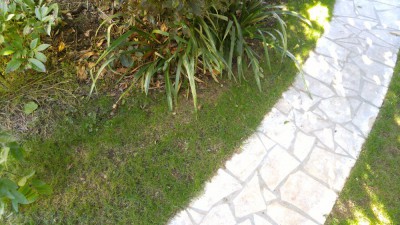 IMG_20180902_170919.jpg