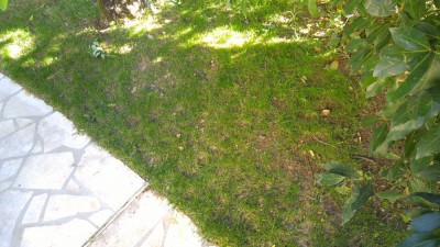 IMG_20180902_170842.jpg