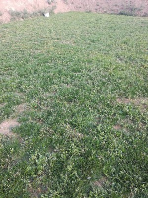 IMG_20180901_173511.jpg