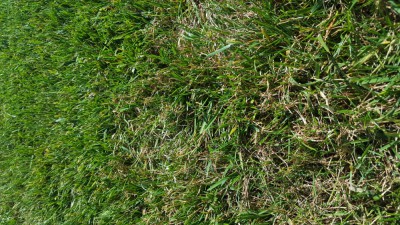 20180904_122806.jpg