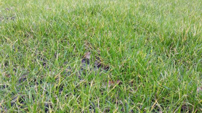 20160305_171203[1].jpg