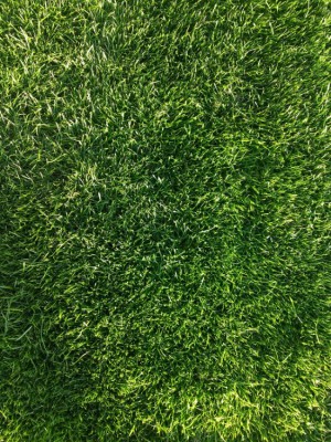 IMG_20180915_190503831.jpg