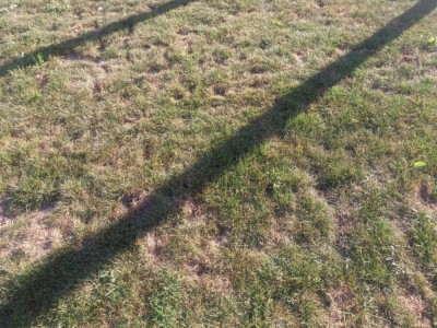 20180917_180400.jpg