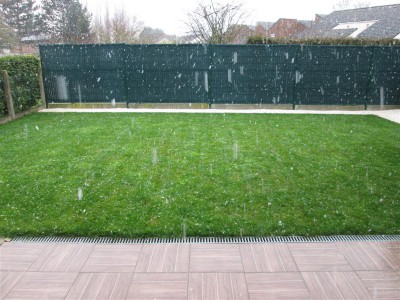IMG_1581 (Medium).JPG