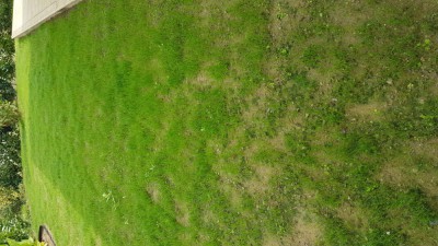 20180921_121002.jpg