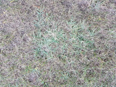 20180925_190121.jpg