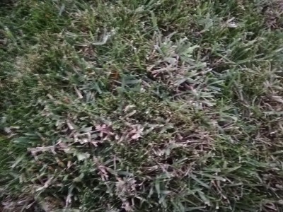 IMG_20180927_195525.jpg