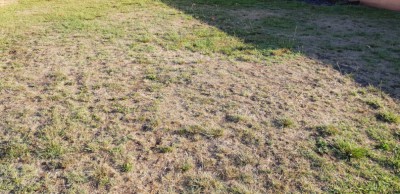 20181001_094129.jpg
