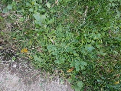 20181004_180303.jpg