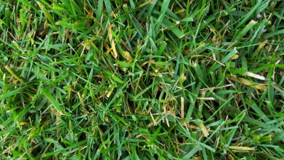 20181008_095551.jpg