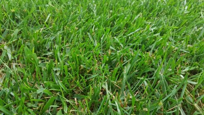 20181011_182706.jpg